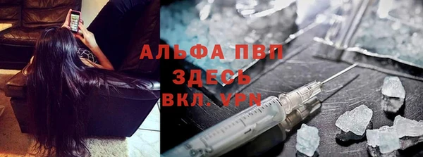 СК Аркадак