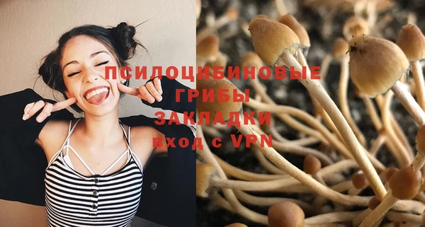 СК Аркадак