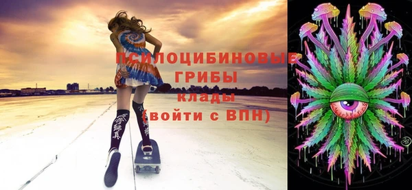 СК Аркадак